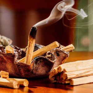 Sacred Peruvian Palo Santo | Purification & Spiritual Blessings Incense